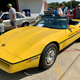 Illustration for article titled Car show today! And the Sunbird has an uninvited guest.